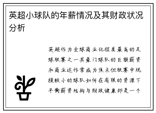 英超小球队的年薪情况及其财政状况分析