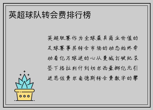 英超球队转会费排行榜